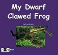 My Dwarf Clawed Frog