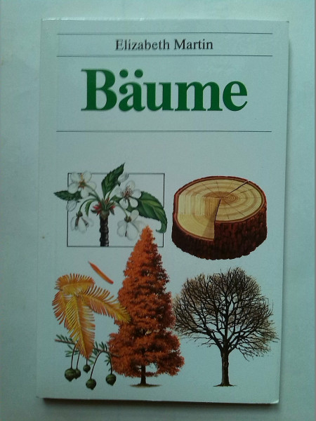 Bäume erkennen und bestimmen