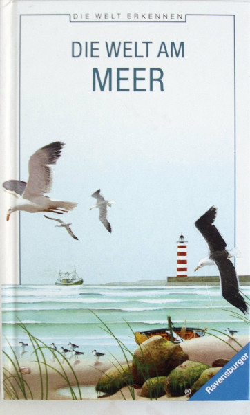 Die Welt am Meer (Die Welt erkennen)