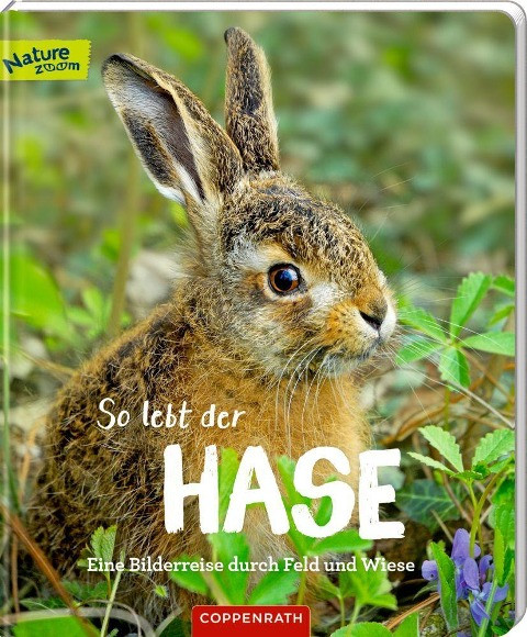 So lebt der Hase