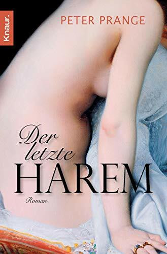 Der letzte Harem: Roman
