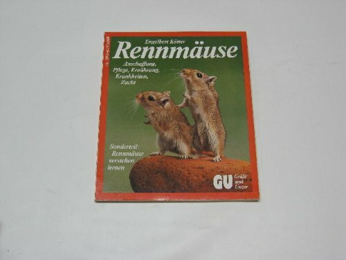 Rennmäuse richtig pflegen und verstehen