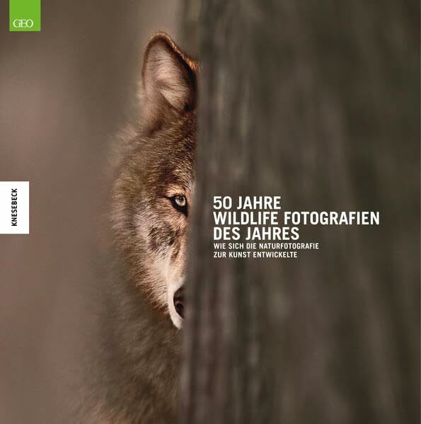 50 Jahre Wildlife Fotografien des Jahres: Wie sich die Naturfotografie zur Kunst entwickelte