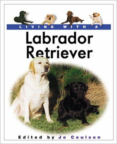 Living With a Labrador Retriever (Living With a Pet Series)