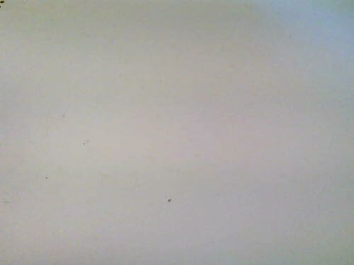 Baumzeit: Magier, Mythen und Mirakel. Neue Einsichten in Europas Baum- und Waldgeschichte