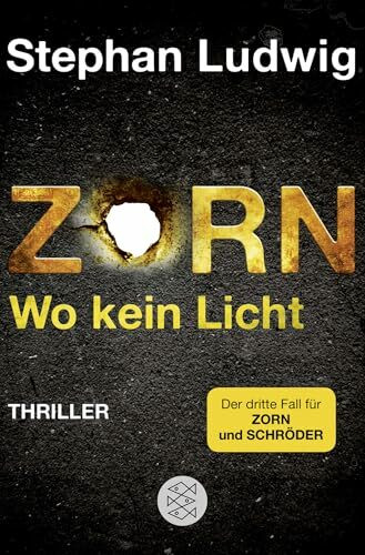 Zorn - Wo kein Licht: Thriller (Zorn 3)