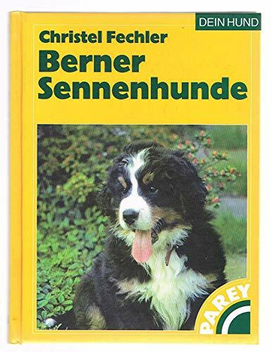 Berner Sennenhunde