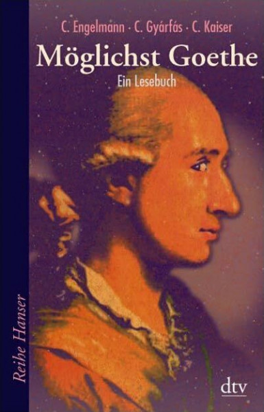 Möglichst Goethe: Ein Lesebuch (dtv Fortsetzungsnummer 85)