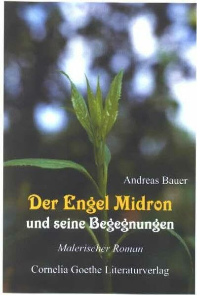 Der Engel Midron und seine Begegnungen (Cornelia Goethe Literaturverlag)