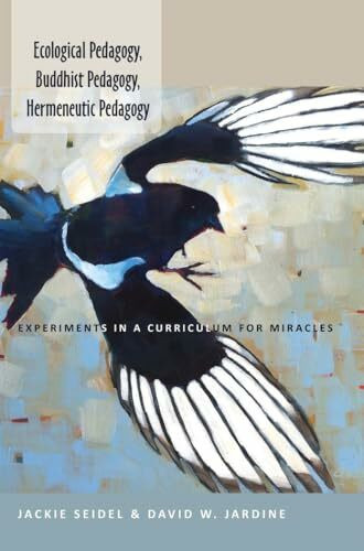 Ecological Pedagogy, Buddhist Pedagogy, Hermeneutic Pedagogy: Experiments in a Curriculum for Miracles (Counterpoints, Band 452)