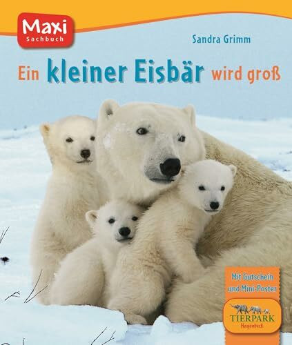 Die Tierkinder-Bibliothek. Der kleine Eisbär wird groß (MAXI Bilderbuch)
