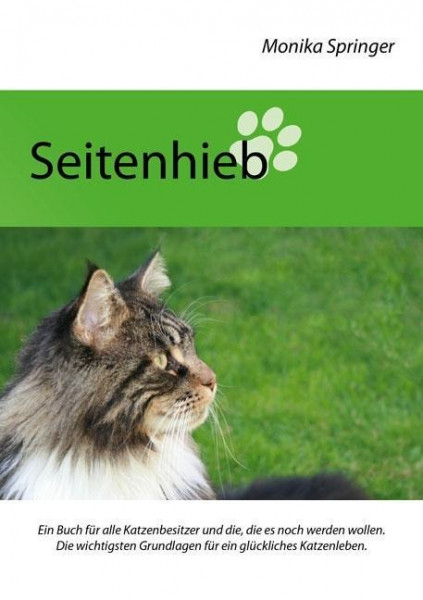 Seitenhieb