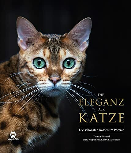 Die Eleganz der Katze: Die schönsten Rassen im Porträt