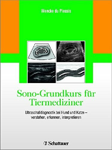 Sono-Grundkurs für Tiermediziner: Ultraschalldiagnostik bei Hund und Katze - verstehen, erkennen, interpretieren