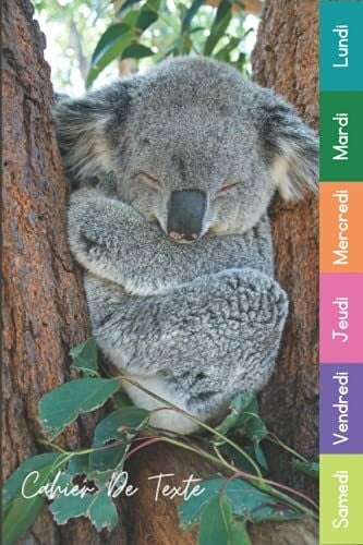 Cahier De Texte: 2021 2022 Koala Pour Garçon & Fille En Primaire, Collège Et Lycée Thème Animaux Pratique Pour Toutes Les Matières