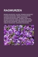 Ragwurzen