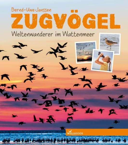 Zugvögel: Weltenwanderer im Wattenmeer