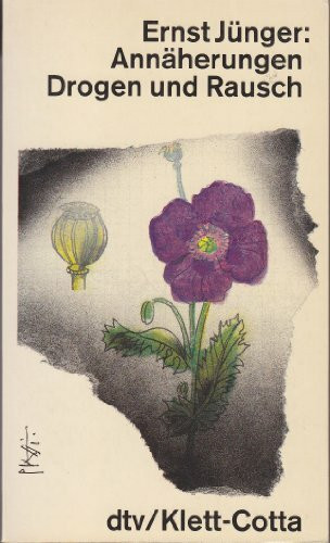 Annäherungen. Drogen und Rausch (dtv Literatur)