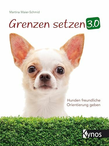 Grenzen setzen 3.0: Hunden freundliche Orientierung geben