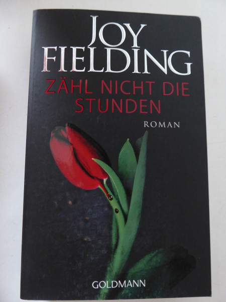 Zähl nicht die Stunden: Roman