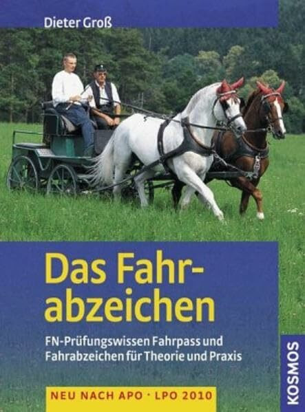 Das Fahrabzeichen: Praktische und theoretische Prüfung für Fahrpass und Fahrabzeichen