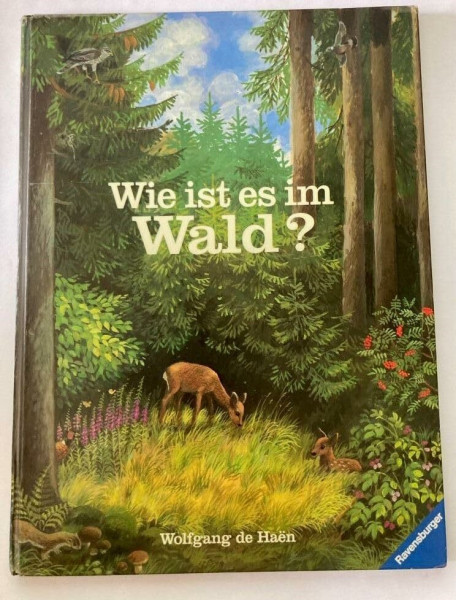 Wie ist es im Wald?