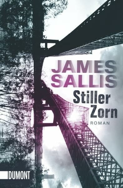 Stiller Zorn: Roman (Taschenbücher)