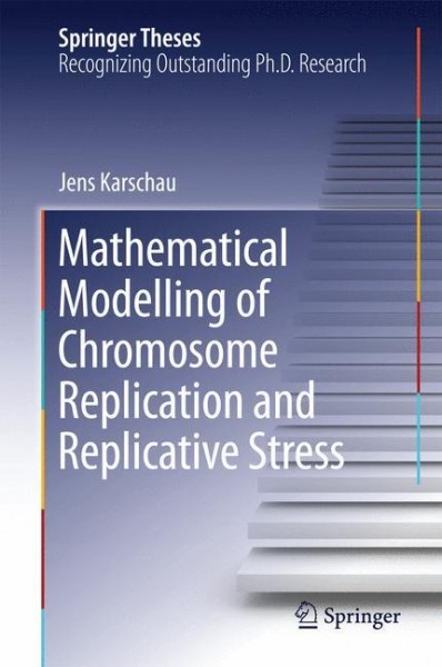 Mathematical Modelling of Chromosome Replication and Replicative Stress