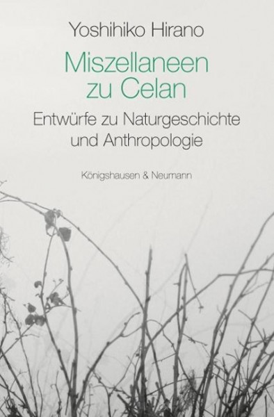 Miszellaneen zu Celan