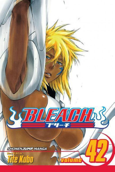 Bleach, Vol. 42: Volume 42