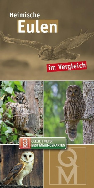 Eulen