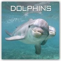Dolphins - Delfine - Delphine 2022 - 18-Monatskalender