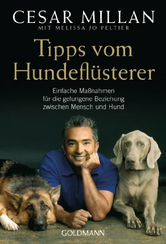 Tipps vom Hundeflüsterer: Einfache Maßnahmen für die gelungene Beziehung zwischen Mensch und Hund