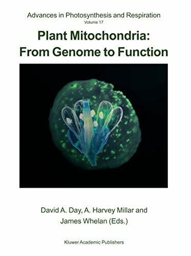 Plant Mitochondria: From Genome to Function (Advances in Photosynthesis and Respiration, 17, Band 17)