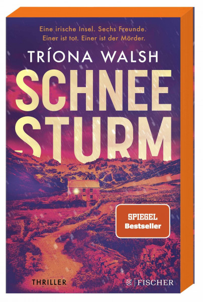 Schneesturm: Thriller | Kein Entkommen von der eisigen Insel