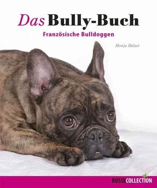 Das Bully-Buch: Französische Bulldoggen