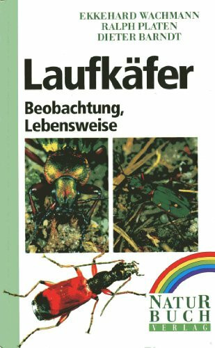 Laufkäfer