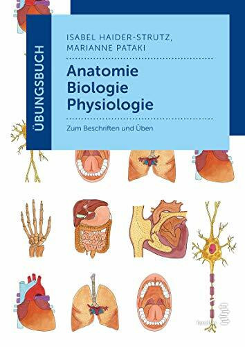 Übungsbuch Anatomie - Biologie - Physiologie: Zum Üben und Beschriften