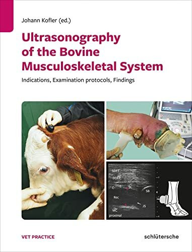 Ultrasonography of the Bovine Musculoskeletal System: Indications, Examination protocols, Findings (Vetpraxis)