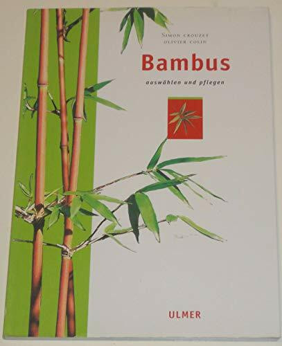 Bambus: auswählen und pflegen (Garten-Ratgeber)
