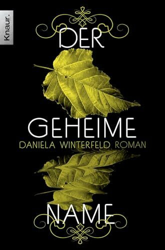 Der geheime Name: Roman
