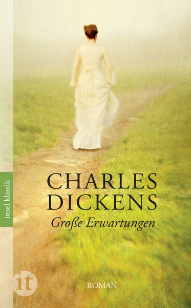 Große Erwartungen: Roman (insel taschenbuch)