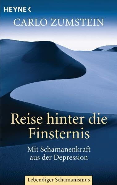 Reise hinter die Finsternis: Mit Schamanenkraft aus der Depression