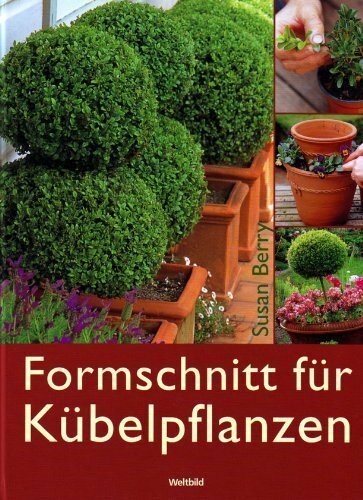 Formschnitt für Kübelpflanzen