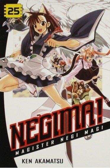 Negima! 25: Magister Negi Magi