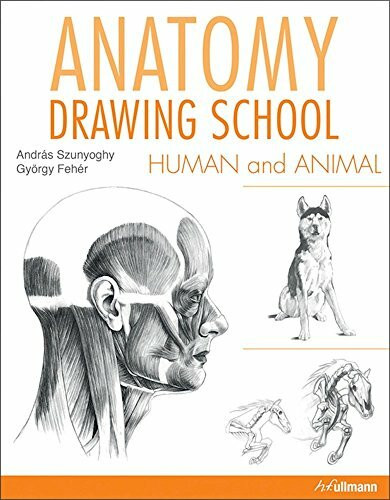 Anatomy Drawing School: Human and Animal