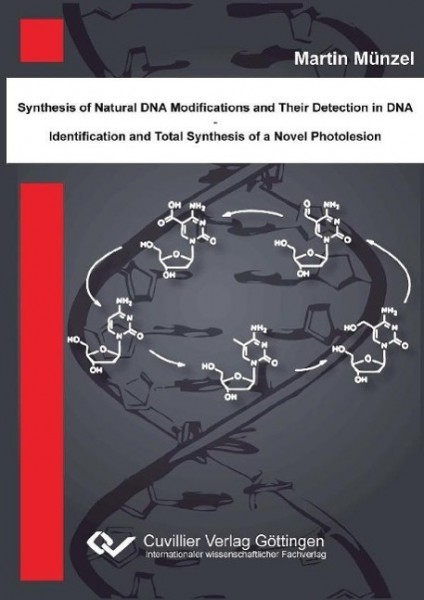 Synthese natürlicher DNA Modifikationen und deren Detektion in DNA - Identifikation und Totalsynthes