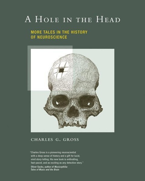 A Hole in the Head