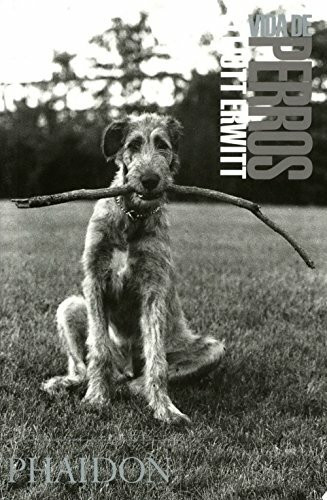 Vida de Perros / Dog Dogs