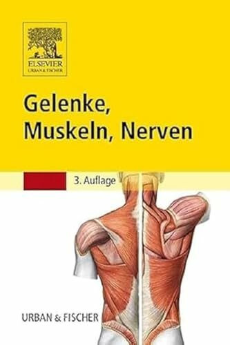 Gelenke, Muskeln, Nerven